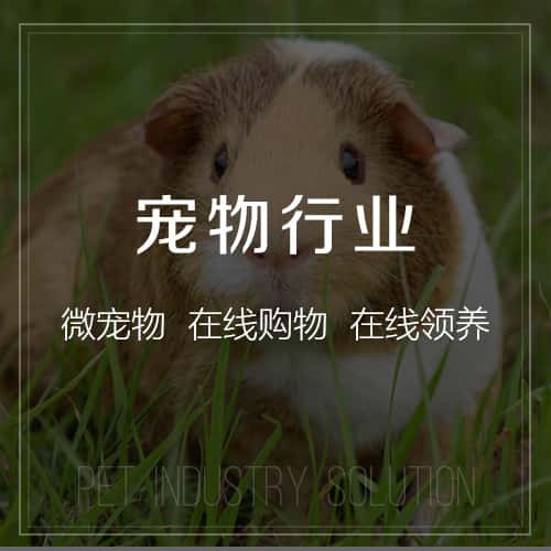 成都宠物