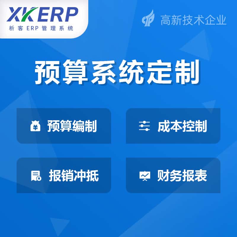 成都财务预算管理系统
