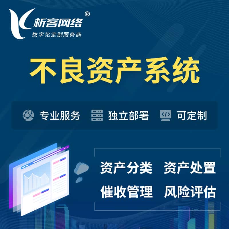 成都不良资产管理系统